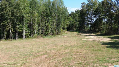 /international/us/county-road-222-lot-0-bremen-al-110110256711/