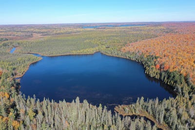 /international/us/527-usfs-rd-2130-iron-river-mi-110088700682/