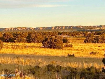/international/us/tbd-sanders-255-acres-sanders-az-110098898545/
