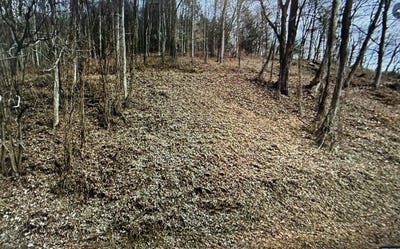 /international/us/riverside-drive-lot-5-lot-5-raven-va-110110365959/