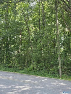 /international/us/-46-acres-10th-street-nw-arab-al-110101256089/