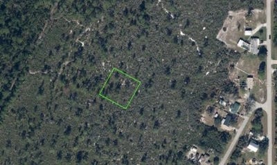 /international/us/1453-taft-avenue-lake-placid-fl-110100945893/