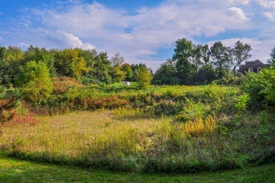 /international/us/4353-carlisle-drive-crystal-lake-il-110097275773/?lang=zh-cn