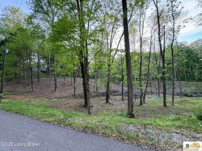 /international/us/lot-44a-walleye-way-scottsville-ky-110099864540/?lang=zh-cn