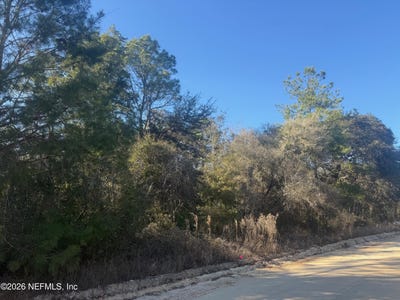 /international/us/147-nettles-road-florahome-fl-110105357003/