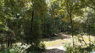 /international/us/2170-birmingham-road-centreville-al-110101422977/?lang=zh-cn