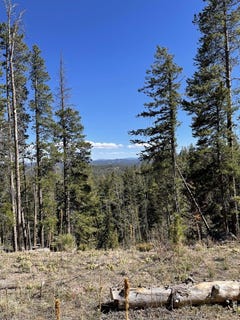 /international/us/66-piegan-ct-red-feather-lakes-co-110107335983/