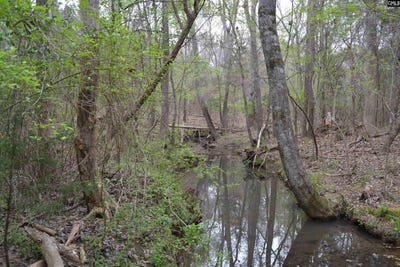 /international/us/1309-farming-creek-road-irmo-sc-110103602132/