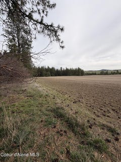 /international/us/sandhill-rd-winchester-id-110108346175/