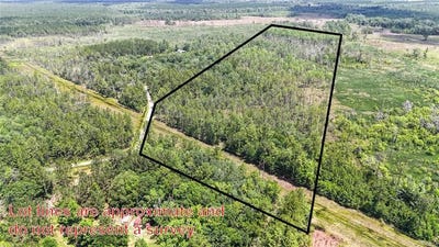/international/us/brewton-road-folkston-ga-110100321948/