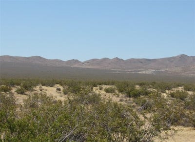 /international/us/0655011330000-danby-road-danby-ca-110095072286/
