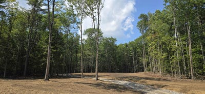 /international/us/11c-2-nh-route140-alton-nh-110101345885/?lang=pt