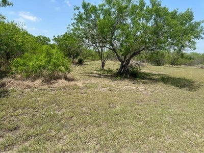 /international/us/293-cr-3052-orange-grove-tx-110105308979/