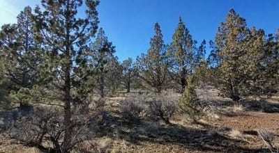 /international/us/19725-se-upper-ridge-road-prineville-or-110098296287/