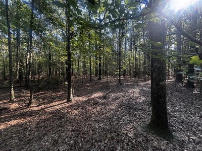 /international/us/6-34-ac-sandy-branch-rd-fort-gaines-ga-110110300443/