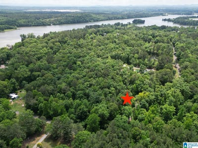 /international/us/45-coosa-view-lane-riverside-al-110082368675/