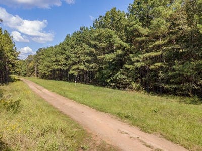 /international/us/parcel-28382-county-road-403-san-augustine-tx-110105932032/