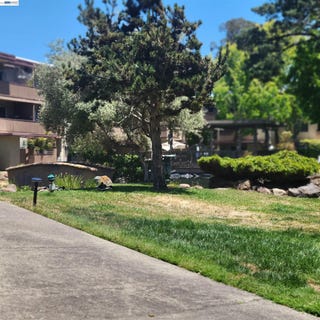 /international/us/1321-webster-st-alameda-ca-110109117516/
