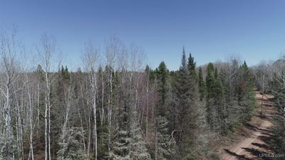 /international/us/252-acres-helen-lake-road-republic-mi-110091845133/