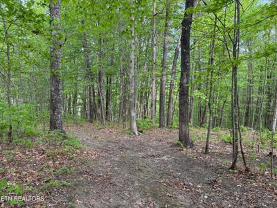 /international/us/slaven-ridge-rd-jamestown-tn-110099136632/?lang=zh-cn