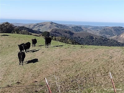 /international/us/9500-santa-rosa-creek-road-templeton-ca-110109035228/