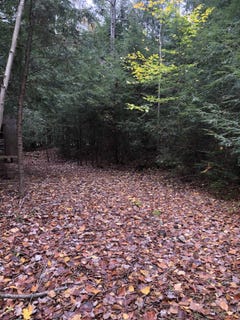 /international/us/1558-viele-pond-road-warrensburg-ny-110072949300/