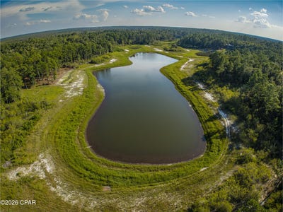 /international/us/payne-lake-road-lot-19-chipley-fl-110110197994/