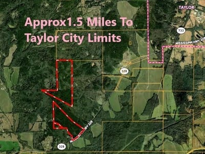 /international/us/hwy-328-cotton-road-taylor-ms-110108280055/