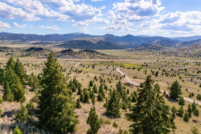 /international/us/nhn-tenderfoot-trail-ramsay-mt-110100923038/?lang=en