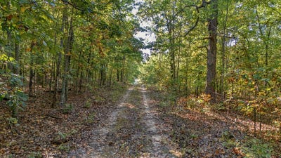 /international/us/county-road-9400-west-plains-mo-110120509426/