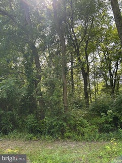 /international/us/chesterville-forest-road-millington-md-110101256798/?lang=zh-tw