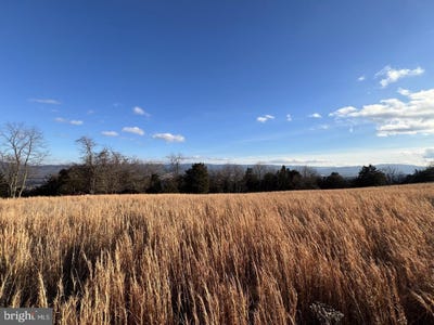 /international/us/38-43-acres-howard-sions-road-moorefield-wv-110105528075/