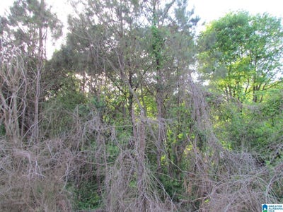 /international/us/highway-27-lot-0-oneonta-al-110108804703/