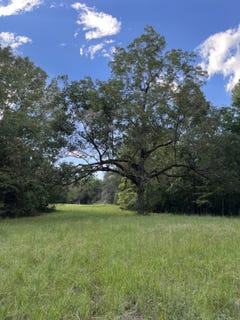/international/us/w-briar-lake-dr-starkville-ms-110079358210/