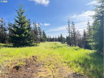 /international/us/nw-lodge-rd-banks-or-110108127087/