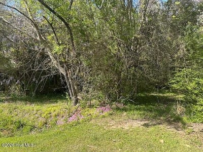 /international/us/408-mill-quarters-road-lot-2-hallsboro-nc-110106850387/