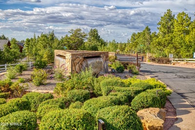 /international/us/1630-w-snow-creek-loop-show-low-az-110101168515/?lang=zh-tw