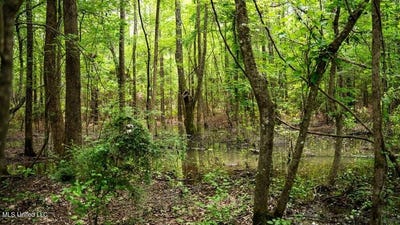 /international/us/7398-amon-hill-road-bastrop-la-110104194103/