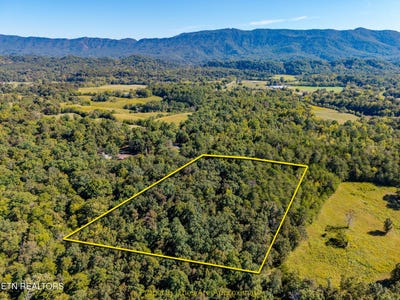 /international/us/1903-tree-tops-lane-seymour-tn-110120105775/