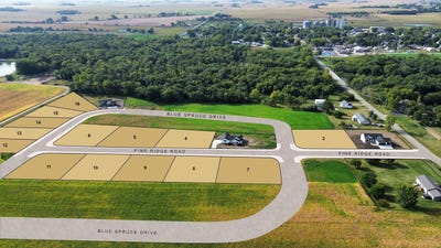 /international/us/103-pine-ridge-road-new-hartford-ia-110094816593/?lang=de