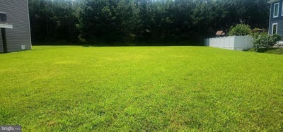 /international/us/38101-natures-walk-way-selbyville-de-110100617303/