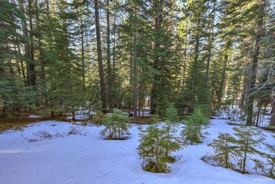 /international/us/1346-thunderbird-drive-south-lake-tahoe-ca-110097731895/