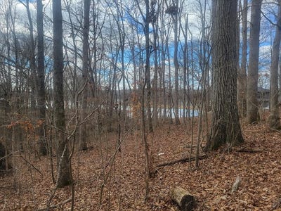/international/us/lakeshore-cir-bumpus-mills-tn-110105531415/