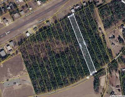 /international/us/ballard-drive-lot-8-trenton-sc-110119665933/