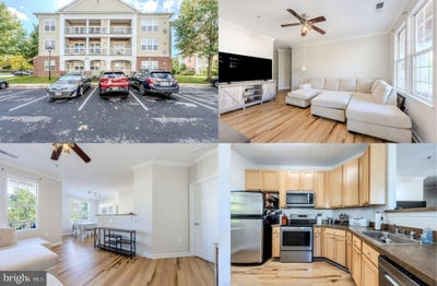 /international/us/22691-blue-elder-terrace-brambleton-va-110119991272/