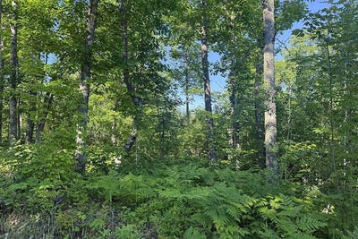 /international/us/4-county-road-t-danbury-wi-110108930495/