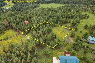 /international/us/38650-state-route-373-greer-az-110110015036/
