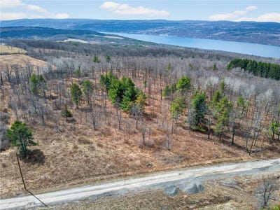 /international/us/satterly-hill-road-burdett-ny-110106852527/