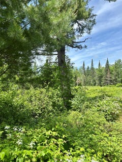 /international/us/16550-w-ridgerock-road-hayward-wi-110099201777/