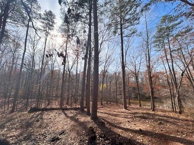 /international/us/30-lakewood-dr-lot-30-unicorp-saulsbury-tn-110102084978/